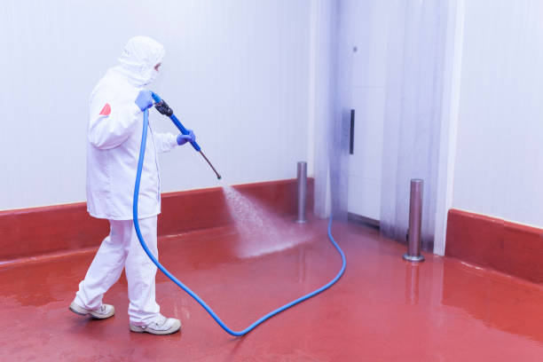 Trusted Hermosa Beach, CA Pressure Washing Experts